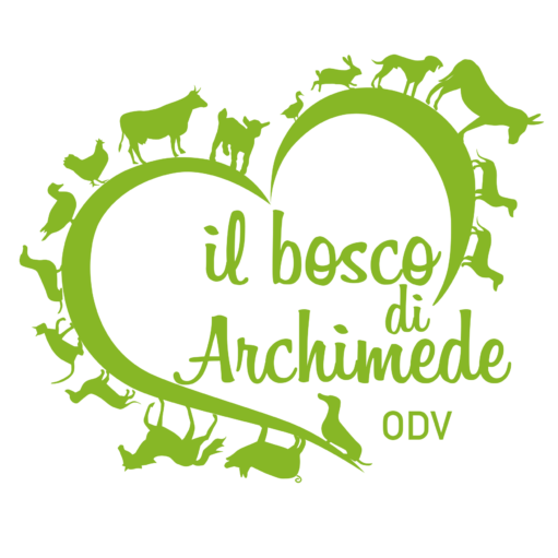 Il Bosco di Archimede ODV